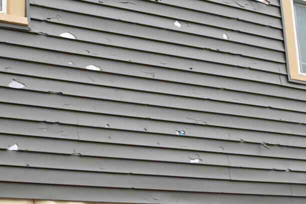 Professional Siding Installation in Wharton, TX